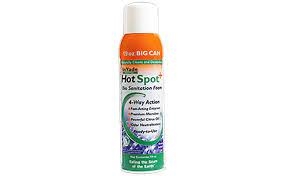 Invade Hot Spot Bio Foam Plus - 19 oz aerosol can