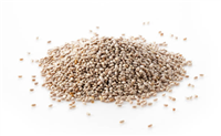 CHIA SEEDS WHITE, 20 LBS.