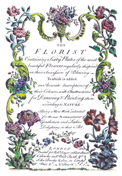 "The Florist" Botanical Coloring Notecards