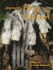 Steyermark's Flora of Missouri, Volume 2