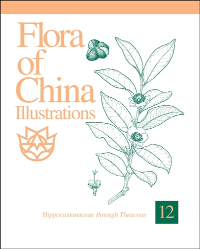 Flora of China Illustrations, Volume 12: Hippocastanaceae through Theaceae