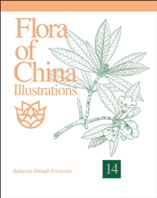 Flora of China Illustrations, Volume 14: Apiaceae through Ericaceae