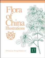 Flora of China Illustrations, Volume 17: Verbenaceae through Solanaceae