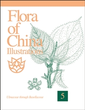 Flora of China Illustrations, Volume 5: Ulmaceae through Basellaceae