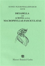 Icones Pleurothallidinarum XXVII: Dryadella and Acronia section Macrophyllae-Fasciculatae