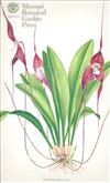 Orchid Print, Dracula Severa (Thesaurus Dracularum, Vol. 2)