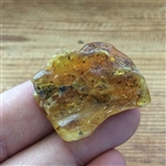 Baltic Amber