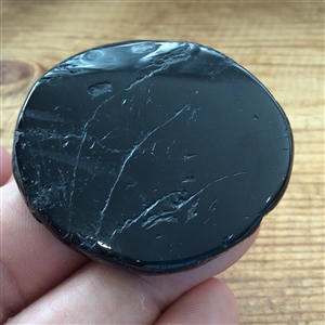 Black Tourmaline Palm