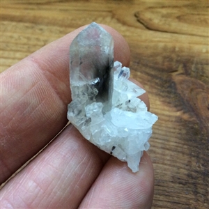 Brookite in quartz Crystal cluster