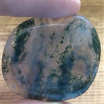 Moss Agate Palm Stone