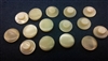 shell shank buttons