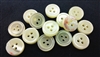 3mm Thick 3-Hole Trocas Shell Buttons