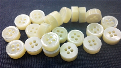 5mm Thickness Trocas Shell Shirt Button