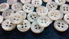 logo engraved shell buttons