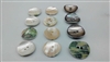 Tamagai Shell Buttons