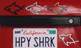 Happy Shark Emblems