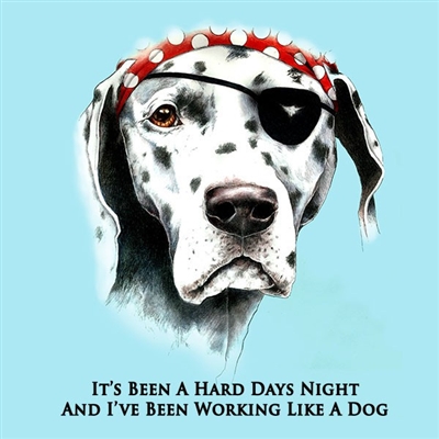 Sea Dog Hard Days Night in Sky Blue