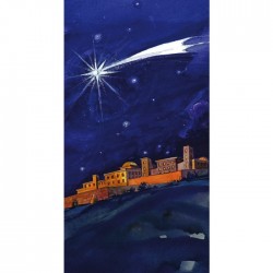 Advent Star of Bethlehem Banner 3.3m x 1.2m (LARGE NO 16)
