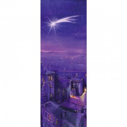 Advent Star Banner 3.3m x 1.2m (LARGE NO 5)