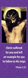 Lent Christ Suffering Banner 3.3m x 0.5m (LARGE NO 20)