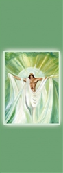 Christ and Shroud banner (1.2 x 0.5m)