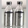 Pair of Cruet Bottles