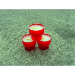 6hr Devotional Candle 300 (Red)