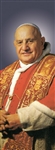 Pope John  XXIII 3.3m x 1.2m