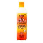 A/P SBM DETANG/SHAMPOO 12 OZ