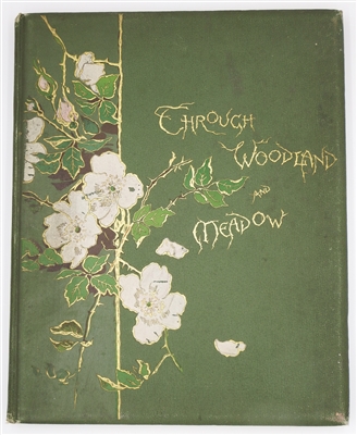Wood, Helen & Nesbit, E. & Bingham, C Ca 1891 Through Woodland and Meadow 1st Ed