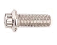 Stainless Steel Control Arm Bolt