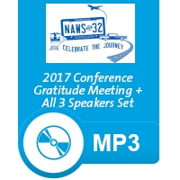 2017 All 3 Speakers