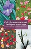 Ð“Ð¾Ð´ Ñ‡ÑƒÐ´ÐµÑÐ½Ñ‹Ñ… Ð¸Ð·Ð¼ÐµÐ½ÐµÐ½Ð¸Ð¹: A Year of Miracles (Russian Translation) (Russian Edition)