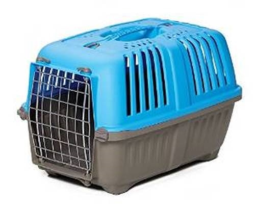 Plastic Carrier - Blue - 19"