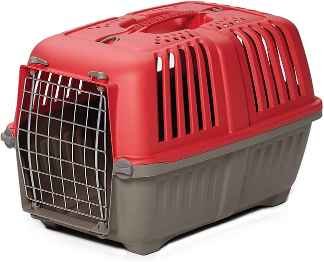 Plastic Carrier - Red - 19"