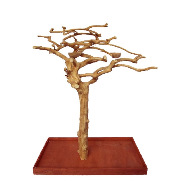 Small Java Wood Tree. 48"x24"x66" TRUNK, CROWN, BASE and 2 BOWLS