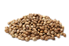 Hemp Seeds - 1lb