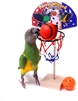 Birdie Basketball by Parrot Wizard