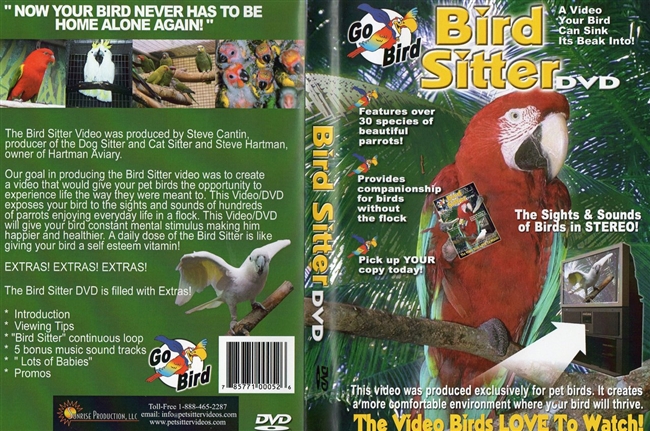 Bird Sitter Video