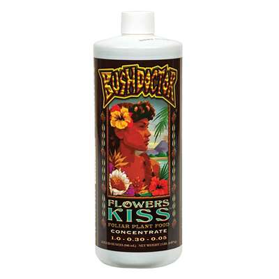 Bush Doctor Flowers Kiss, qt