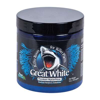 Great White, 4 oz