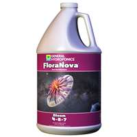 FloraNova Bloom, gal