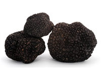Fresh Italian Black Truffles