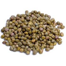 Zuccato Salted Capers 1kg