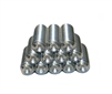 CTSS-SSRA1 Set of 12 Cupped Tip Set Screws