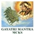 Gayatri Mantra CD