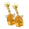 Aretes de dama