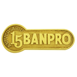 Pin Banpro