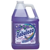 Model CPC 53058 - Colgate Palmolive Fabuloso Lavender Scented All Purpose Cleaner 4 x 1 Gallons