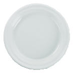 Dart Impact Plastic Plates Dinnerware 9" Plastic Plates 4 x 125ct